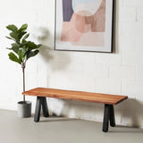 DANTON - Acacia Live Edge Bench 3.5cm Thickness Top with Black Pyramid-Shaped Legs/Natural Color